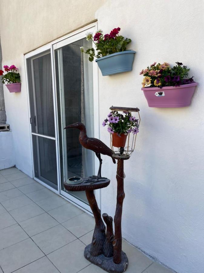 فيلا Olivier House المليحة المظهر الخارجي الصورة