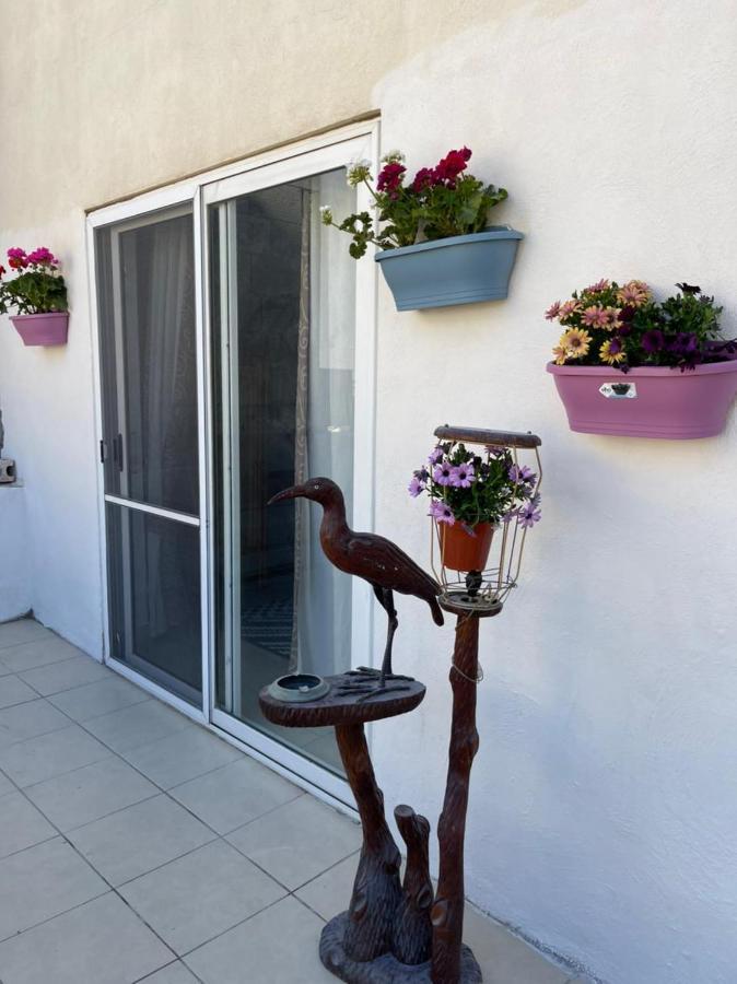 فيلا Olivier House المليحة المظهر الخارجي الصورة